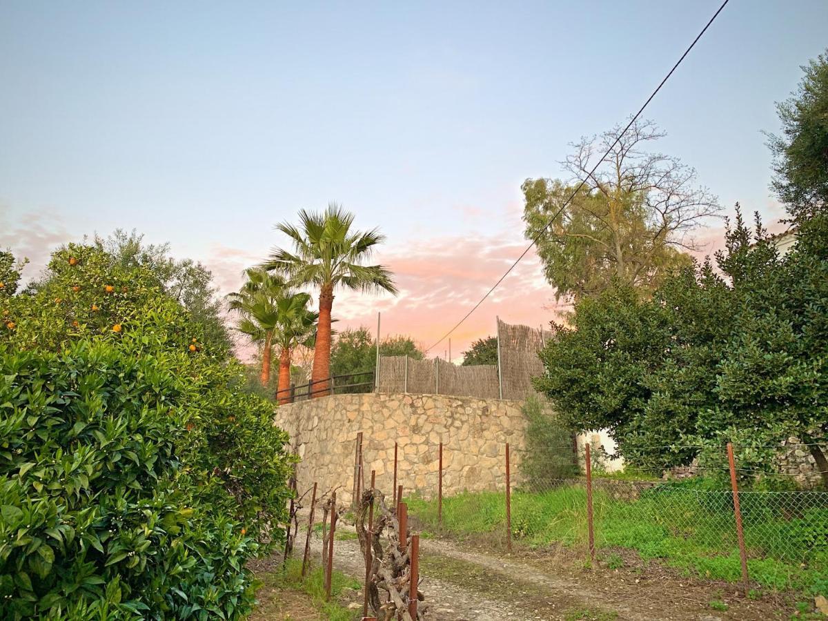 Vivelorural Casa Y Piscina En Zahara De La Sierra Villa Eksteriør billede