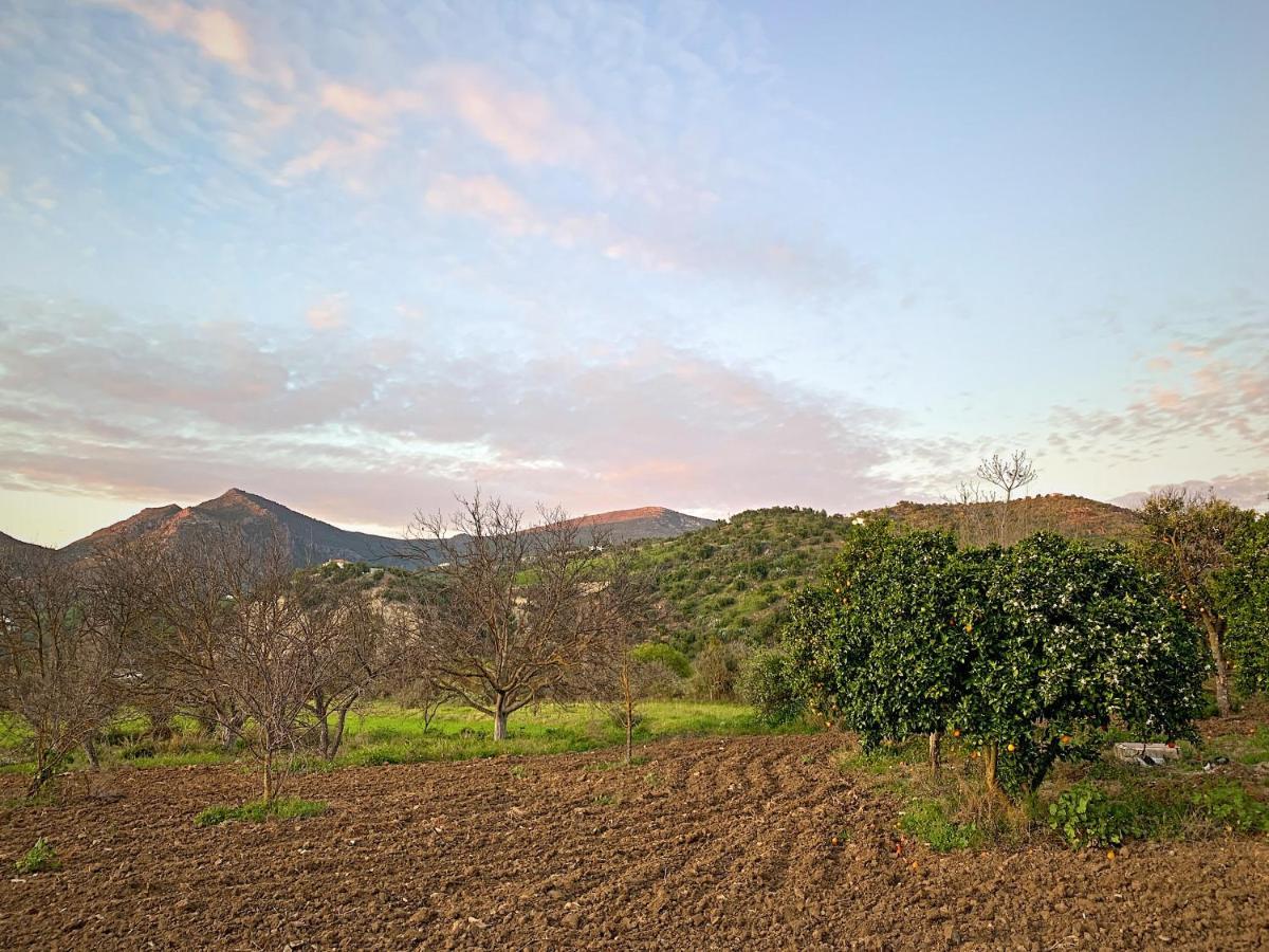 Vivelorural Casa Y Piscina En Zahara De La Sierra Villa Eksteriør billede